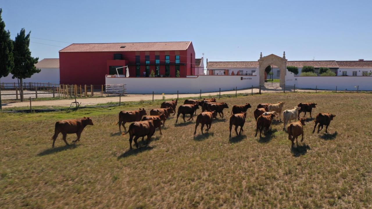 Quinta Da Gafaria Villa Santarem Exterior photo